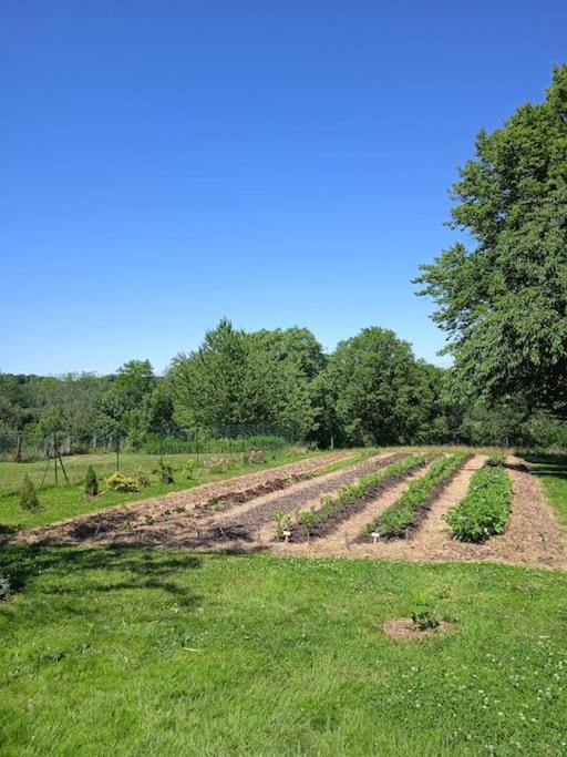 Les Jardins Des 3 Provinces- Gite Montcharvot Exteriér fotografie