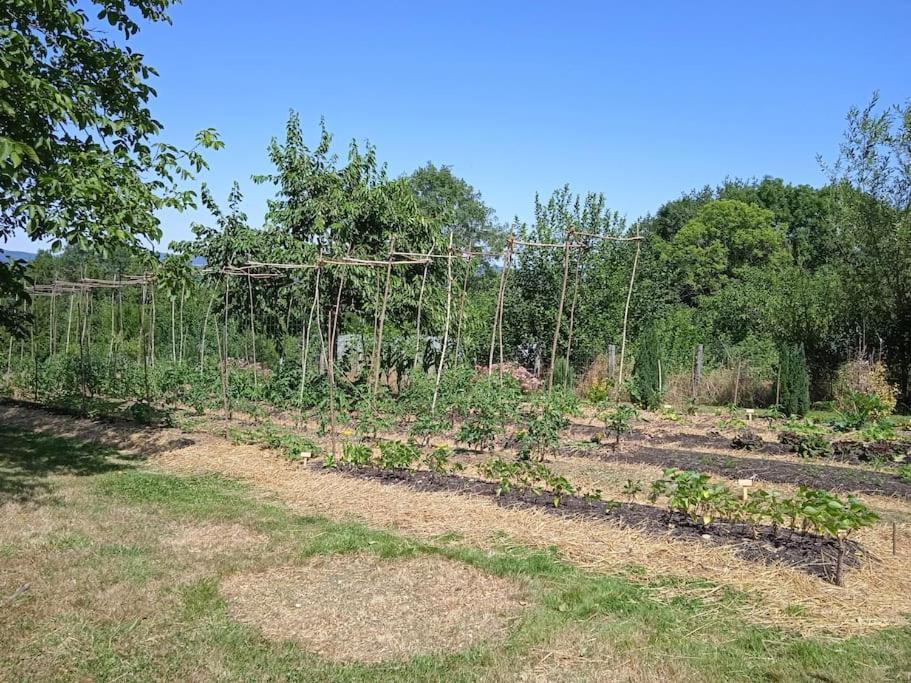 Les Jardins Des 3 Provinces- Gite Montcharvot Exteriér fotografie