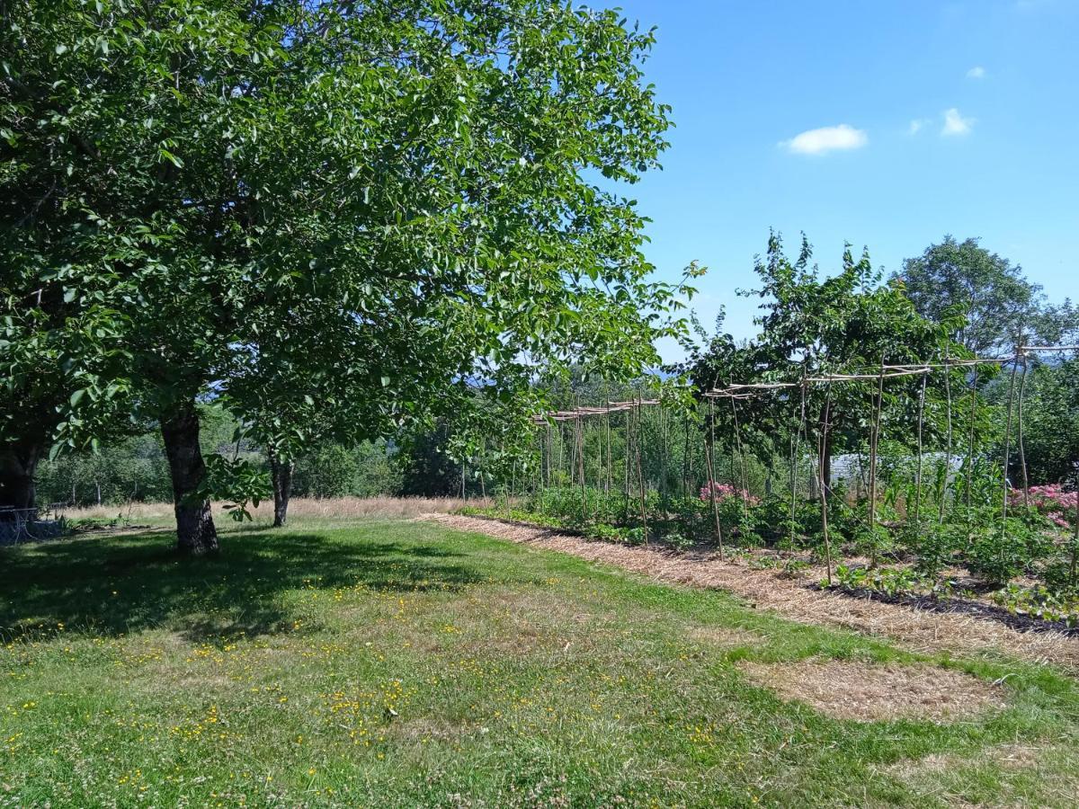 Les Jardins Des 3 Provinces- Gite Montcharvot Exteriér fotografie