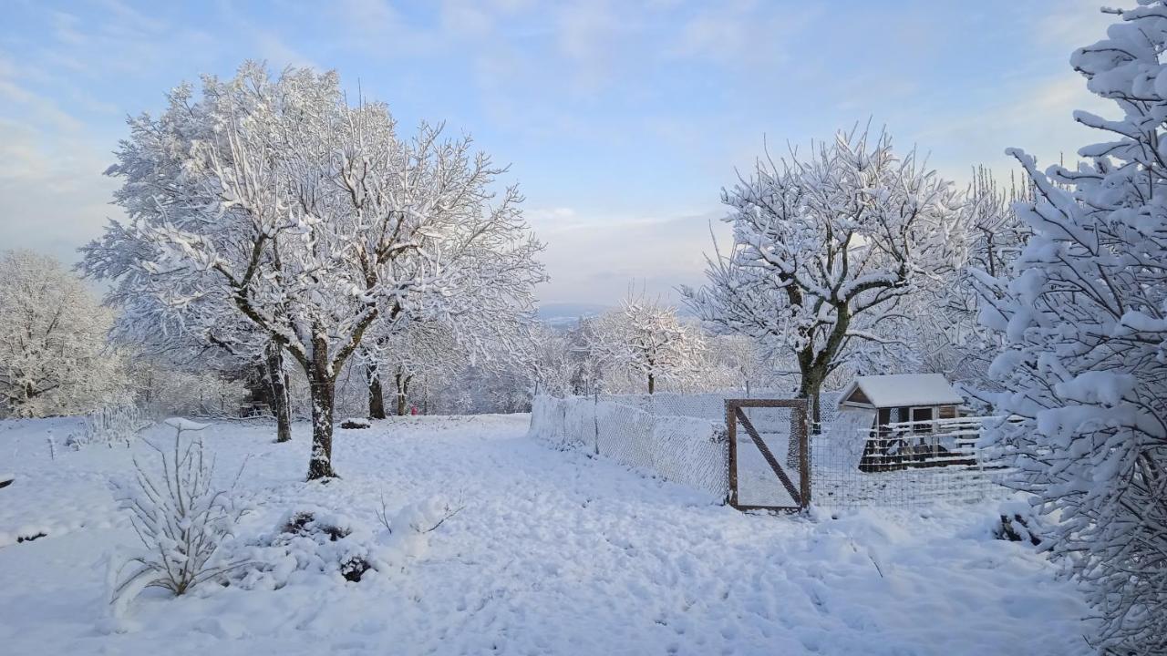 Les Jardins Des 3 Provinces- Gite Montcharvot Exteriér fotografie